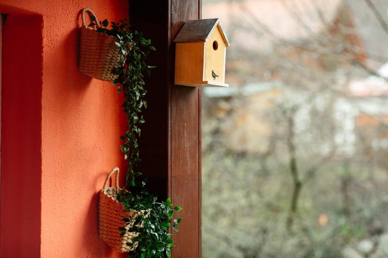 & Garden With Stunning View Apartment *